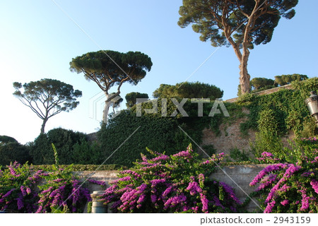 Rome Villa Borghese Park 2943159