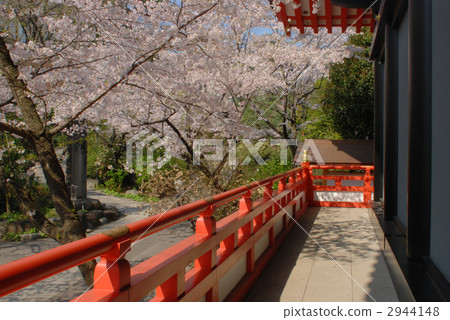 寺 寺院 廟 2944148