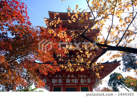 to, takahata fudoson temple, quintuple of tower 2944393
