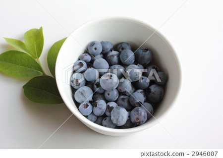 Freshly picked blueberries 2946007