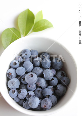 新鮮採摘的藍莓 2946008
