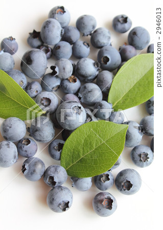 Freshly picked blueberries Freshly picked blueberries 2946013