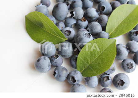 新鮮採摘的藍莓 2946015