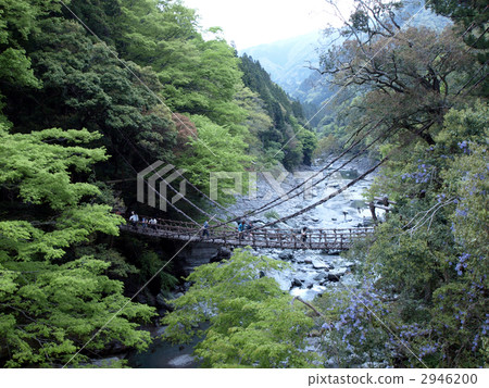 Iya的Kazura橋 Iya的Kazura橋 2946200