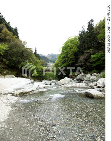 Iya的Kazura橋 Iya的Kazura橋 2946216