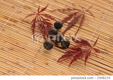 Tanba black soybean 2946235