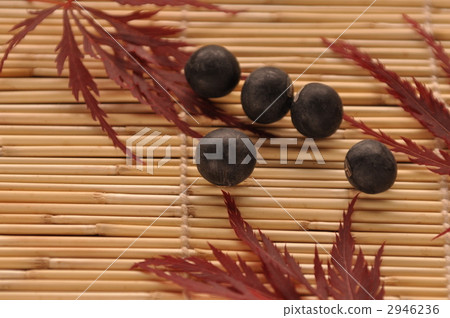 Tanba black soybean Tanba black soybean 2946236