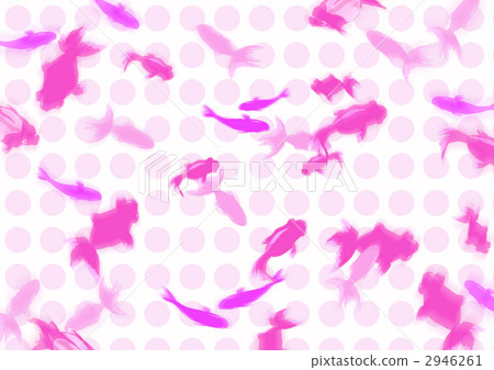 金魚 金魚 2946261