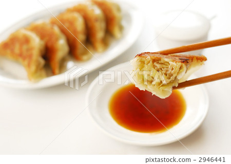 Pan-fried gyoza 2946441