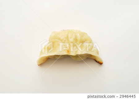 Pan-fried gyoza 2946445