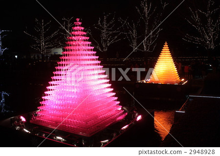 Christmas of the National Showa Memorial Park Christmas of the National Showa Memorial Park 2948928