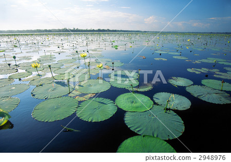 Lake Jackson, Florida 2948976