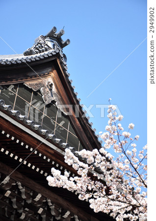 Nanzenji Hall 2949902