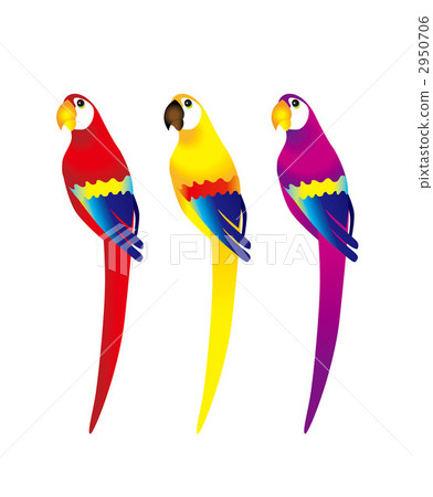 Parrot Parrot 2950706