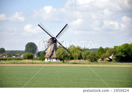 荷蘭的風車 2950824