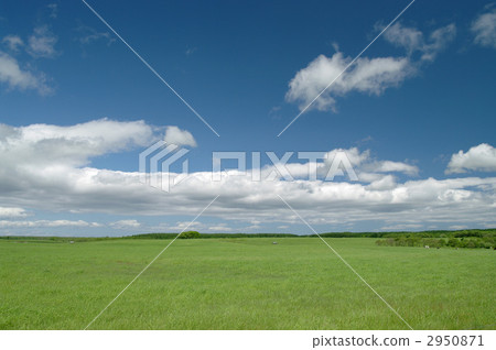 Meadow Meadow 2950871