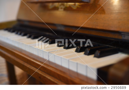 organ, organs, instrument 2950889