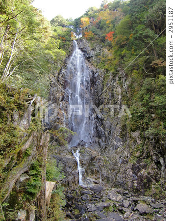 夫婦瀑布 五龍瀑布 中津川市 2951187