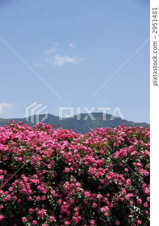 Sakaki Chikumagawa Rose Park Sakaki Chikumagawa Rose Park 2951481