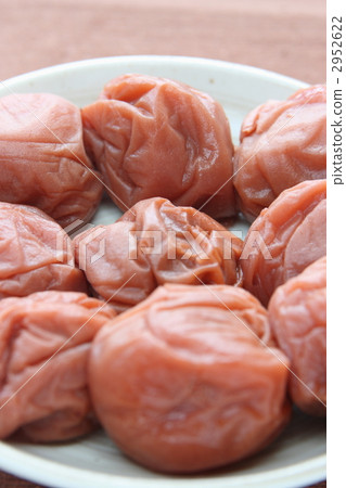 Umeboshi of Kishu Minami Takumi Umeboshi of Kishu Minami Takumi 2952622