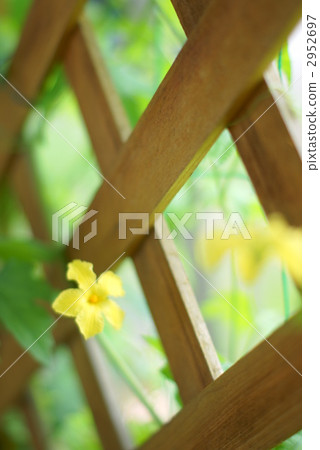 Botanical flowers 2952697