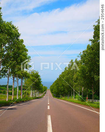 Panorama Road 2954646