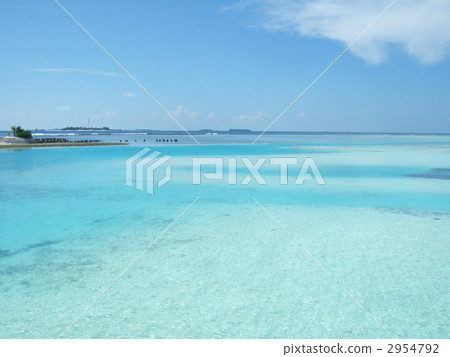The sea of Maldives The sea of Maldives 2954792