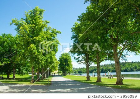 王國里面的道路 王國里面的道路 2956089