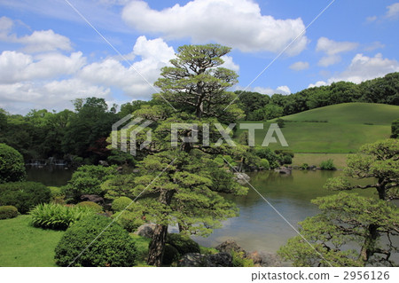 日本園林 日式花園 日本庭院 2956126