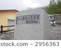 Fuji Sukiguchi山 2956363