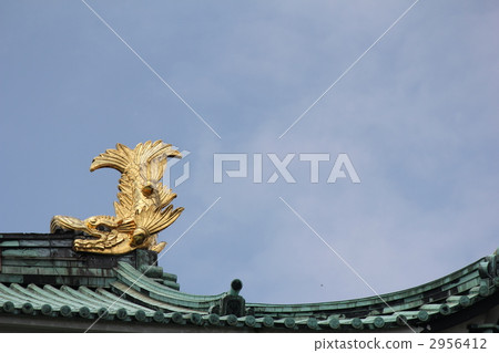 Kim's Shachihoko (Nagoya Castle) 2956412
