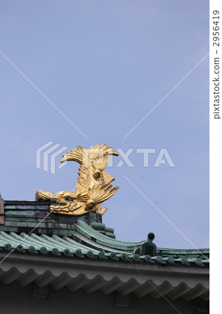 Kim's Shachihoko (Nagoya Castle) 2956419