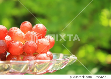 Grape Grape 2956549