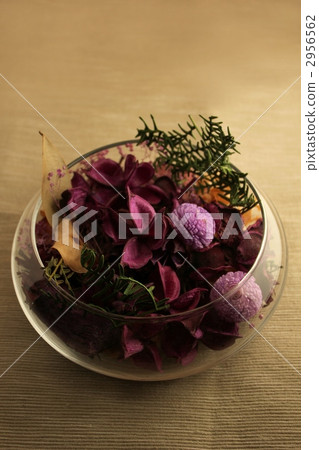 Relax / potpourri Relax / potpourri 2956562