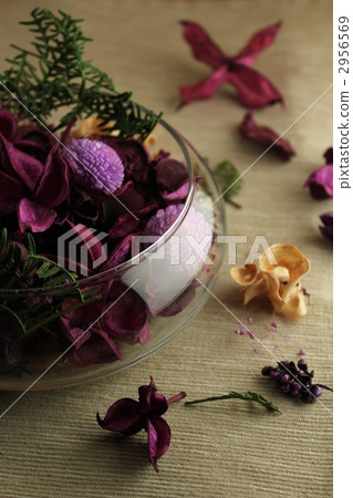 Healing / potpourri Healing / potpourri 2956569