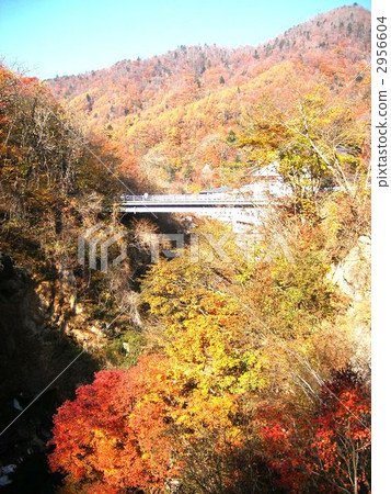 Kawamata hot spring of autumn leaves Kawamata hot spring of autumn leaves 2956604
