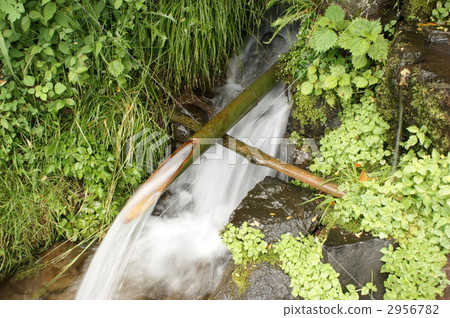 Narusawa Shimizu Narusawa Shimizu 2956782