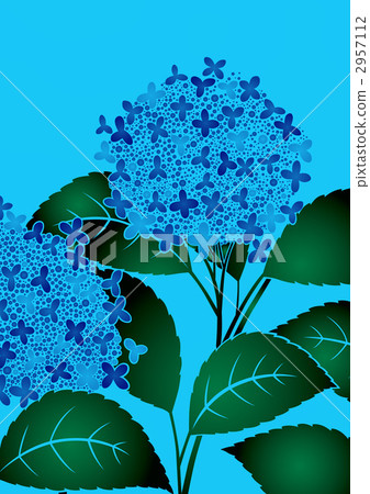 花香 六月 6月 2957112