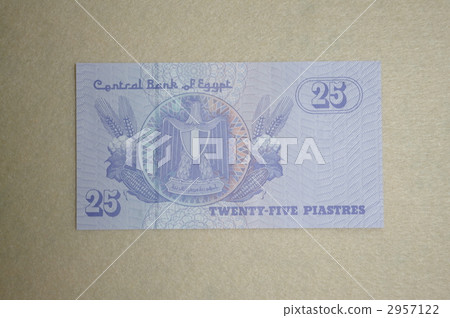 25皮埃爾鈔票 25皮埃爾鈔票 2957122
