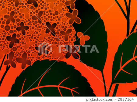 flower, flowers, hydrangea 2957164