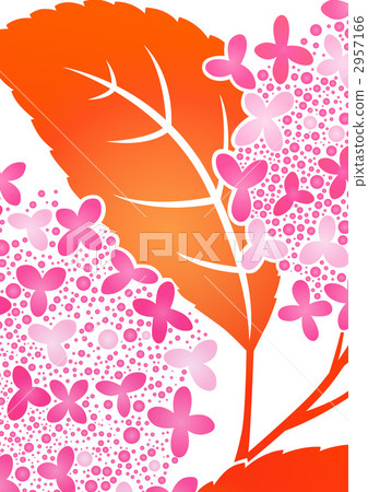 flower, flowers, hydrangea 2957166