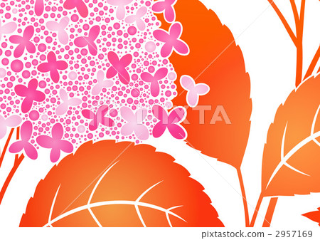 floral, floral design, floral pattern 2957169