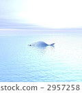 fish  2957258