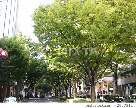 Sendai Jozenji Temple 2957811