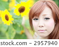 視線 眼神 目光 2957940