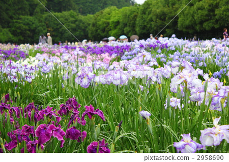 愛麗思花園 掛川市 加茂 2958690
