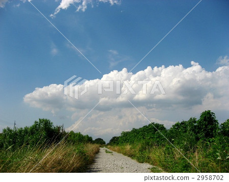 道 道路 路 2958702