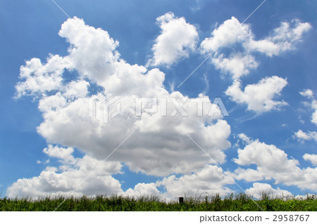 Grassland and blue sky 2958767