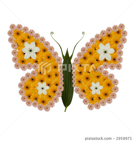 Flower Butterfly Flower Butterfly 2958971