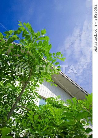 房子的形象 2959582